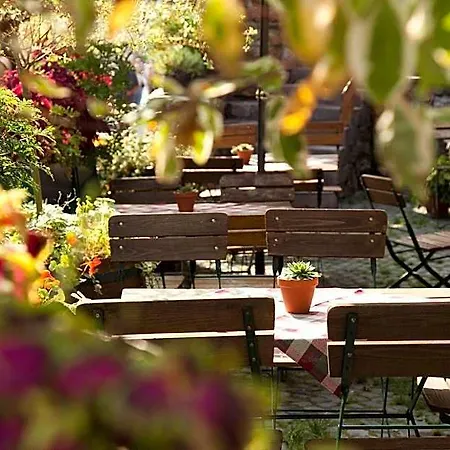 Historisches Weinhotel Zum Gruenen Kranz 3*