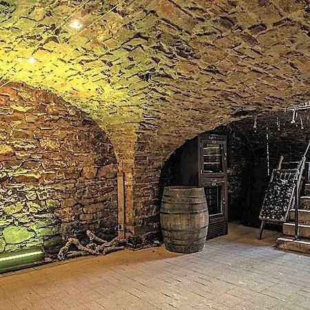 מלון Historisches Weinhotel Zum Gruenen Kranz שווצינגן