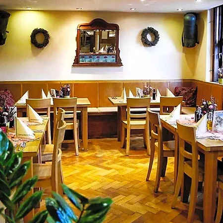 מלון Historisches Weinhotel Zum Gruenen Kranz שווצינגן
