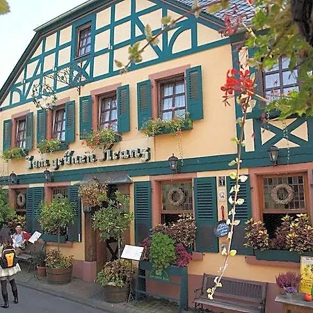 Historisches Weinhotel Zum Gruenen Kranz 3* שווצינגן