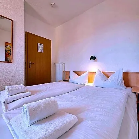 Historisches Weinhotel Zum Gruenen Kranz מלון שווצינגן