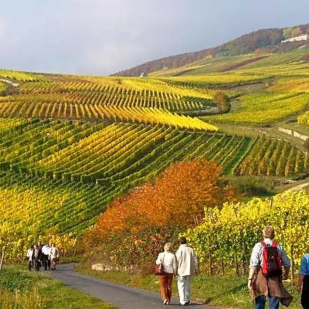 Historisches Weinhotel Zum Gruenen Kranz