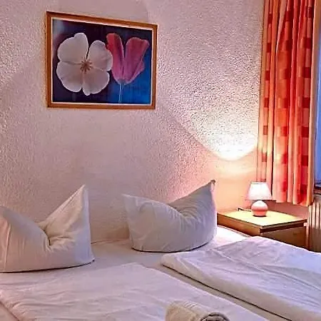 Historisches Weinhotel Zum Gruenen Kranz מלון 3*