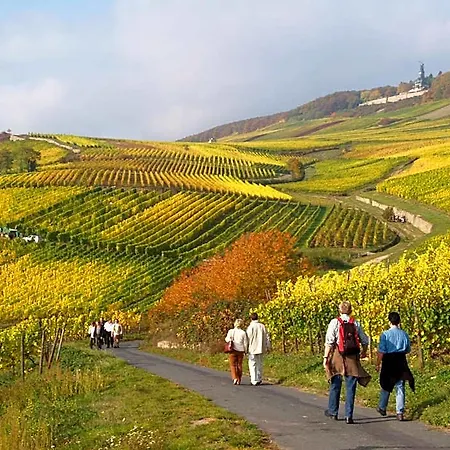 Weinhotel Des Riesling Zum Gruenen Kranz Hotel
