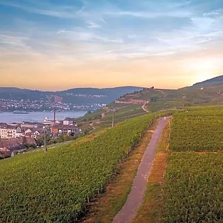 Weinhotel Des Riesling Zum Gruenen Kranz 3* Schwetzingen