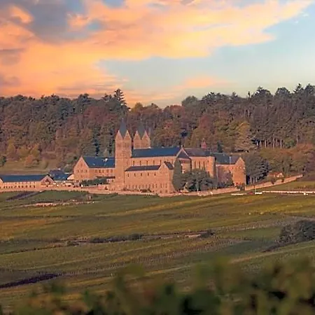 Weinhotel Des Riesling Zum Gruenen Kranz Hotel 3*