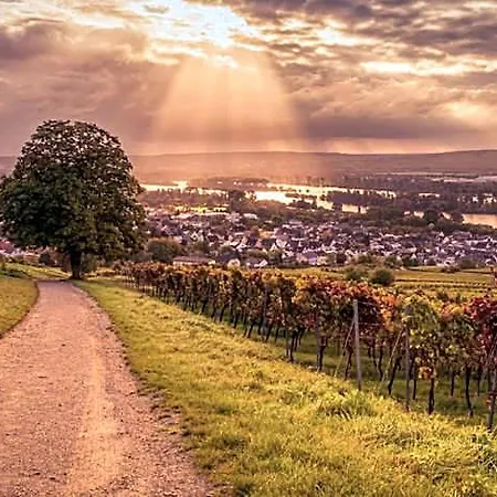 Weinhotel Des Riesling Zum Gruenen Kranz 3* Schwetzingen