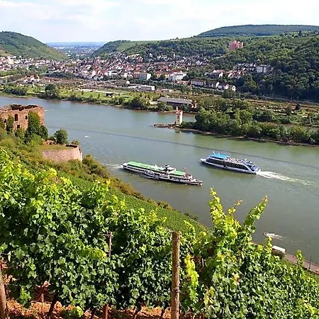 Weinhotel Des Riesling Zum Gruenen Kranz Hotel